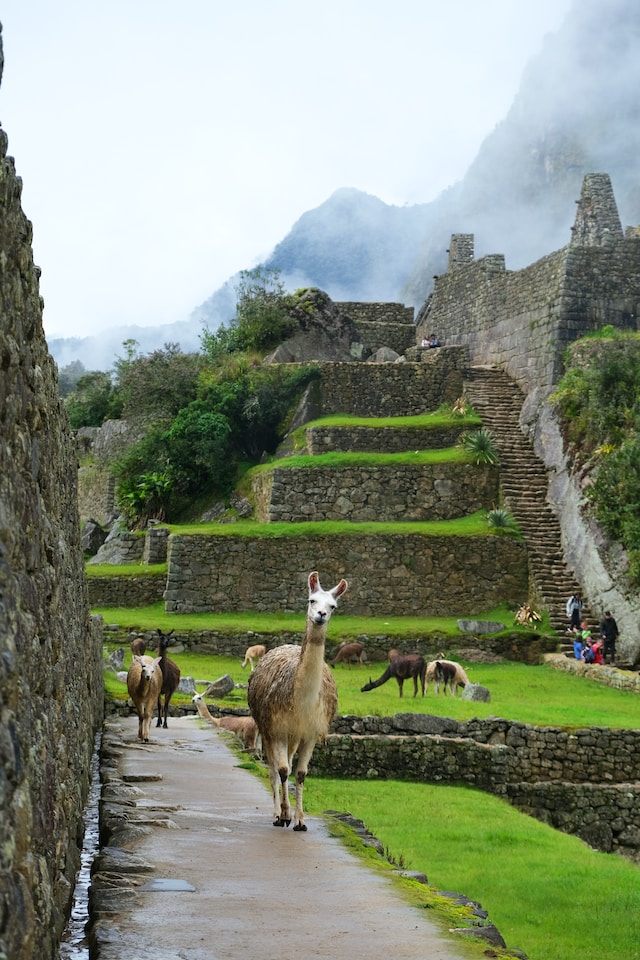 Machu Picch ancient city explore historical landmarks