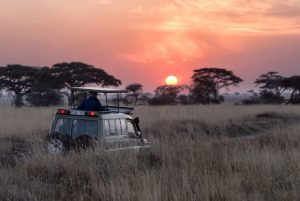Serengeti tanzania safari jeep 1