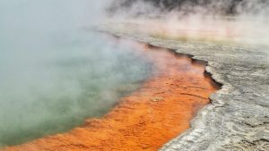 geothermal pools at Rotorua New Zealand