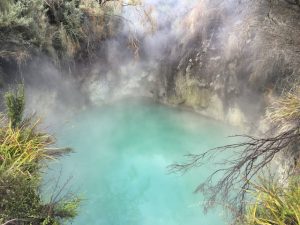 geothermal springs Whakarewarewa