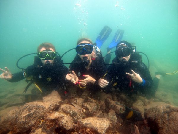 scuba diving dubai jumeirah beach price book now pay later