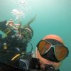 scuba diving dubai jumeirah beach dive now pay later