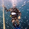 scuba diving dubai cost