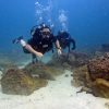 bermuda diving center dubai dive now pay later