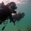 scuba diving jumeirah book now pay later